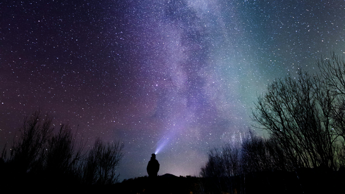 We Need to Talk – Languages!